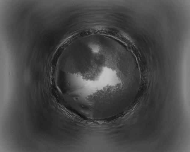 X0000085770823200703231221