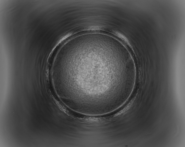 X0000085770827200703231221