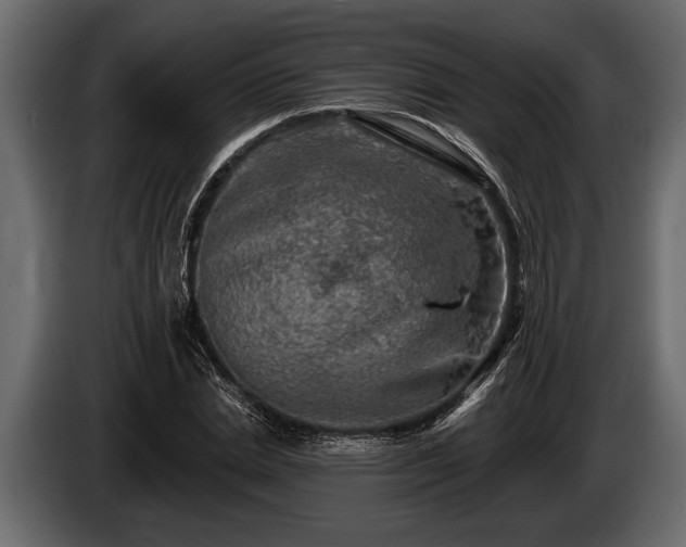 X0000085770830200703231221