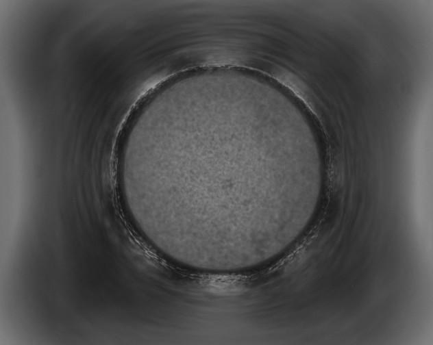 X0000085770832200703231221