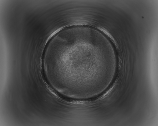 X0000085770834200703231221