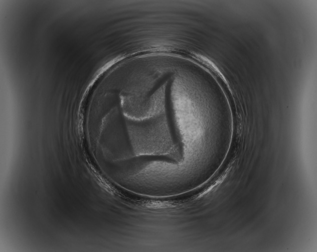 X0000085770835200703231221