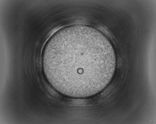 X0000085770836200703231222