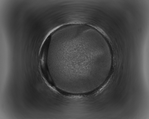 X0000085770838200703231222