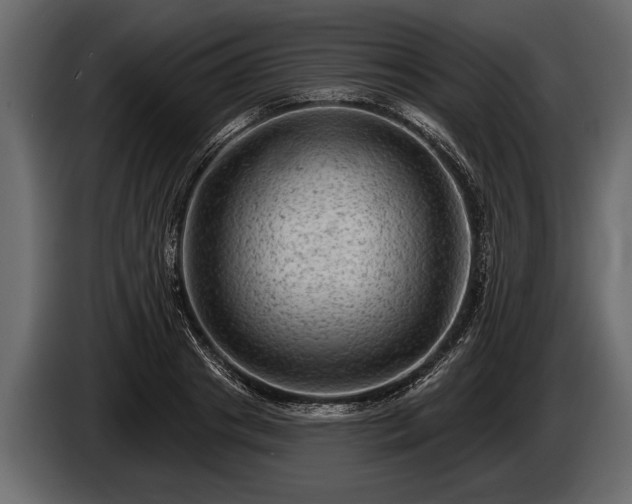 X0000085770841200703231222