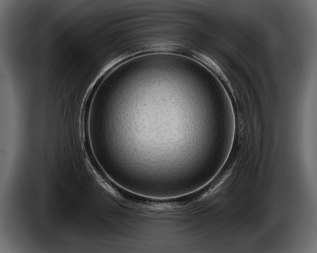 X0000085770843200703231222