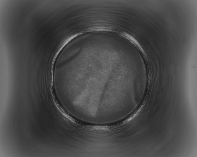 X0000085770844200703231222