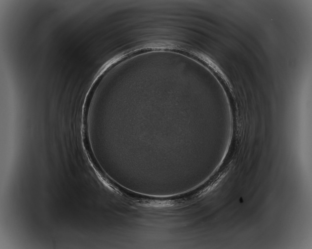 X0000085770845200703231222