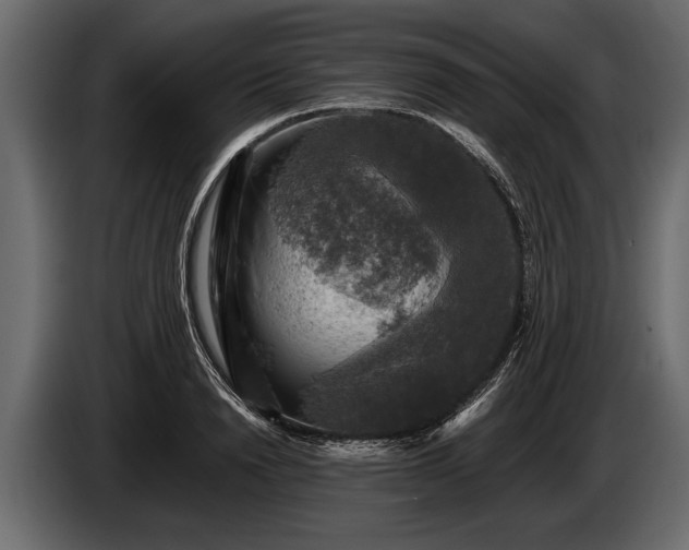 X0000085770846200703231222