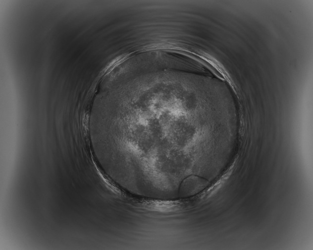 X0000085770849200703231222