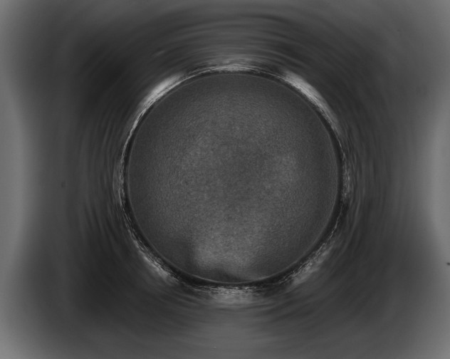 X0000085770850200703231222