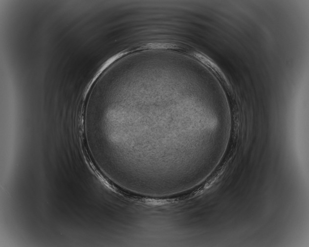 X0000085770852200703231222