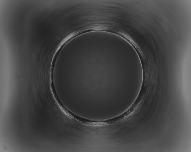 X0000085770853200703231222