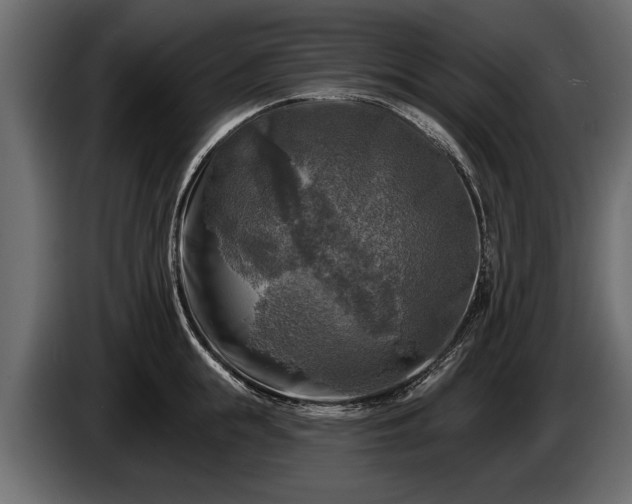 X0000085770855200703231222