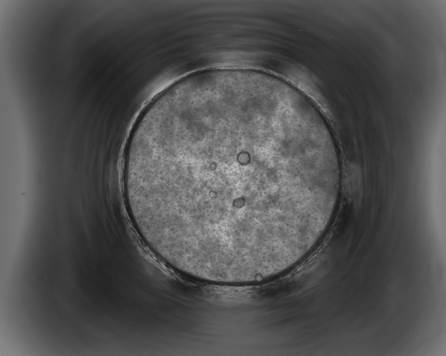 X0000085770856200703231222