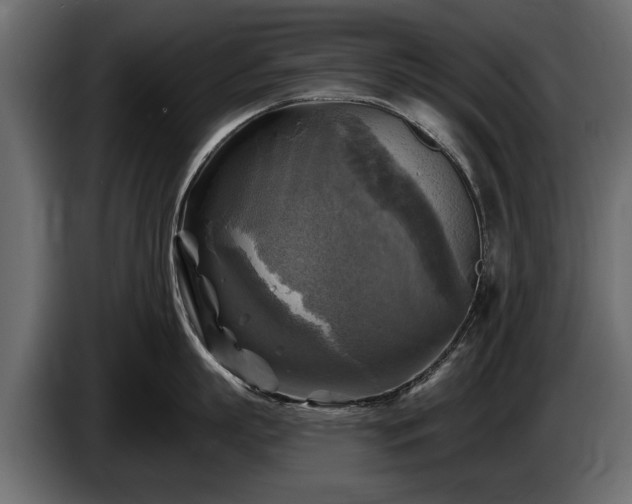 X0000085770863200703231222