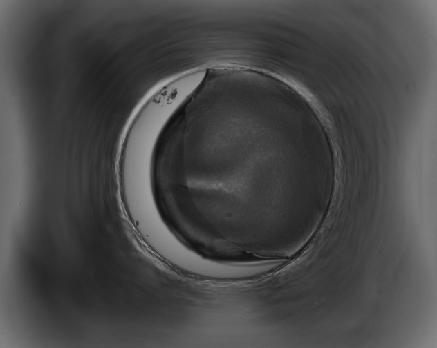 X0000085770864200703231222