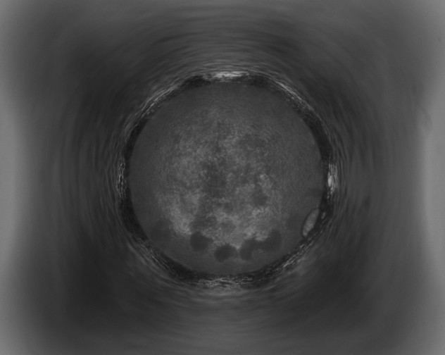 X0000085770867200703231221