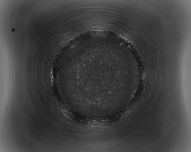 X0000085770868200703231221