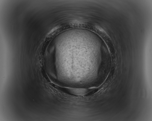 X0000085770870200703231221