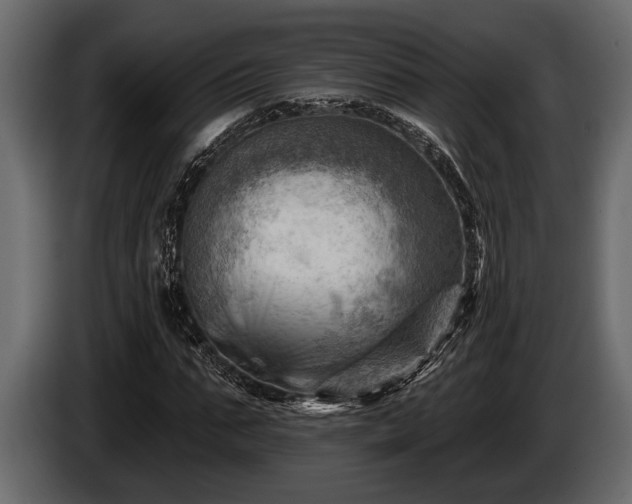 X0000085770871200703231221