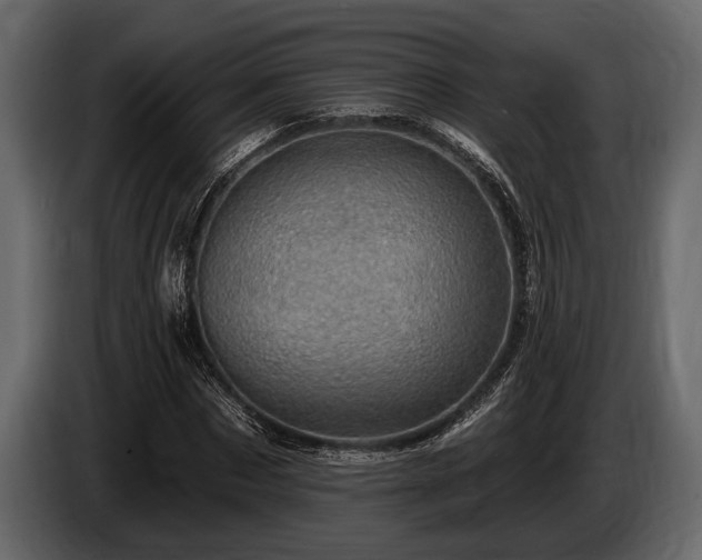 X0000085770873200703231221