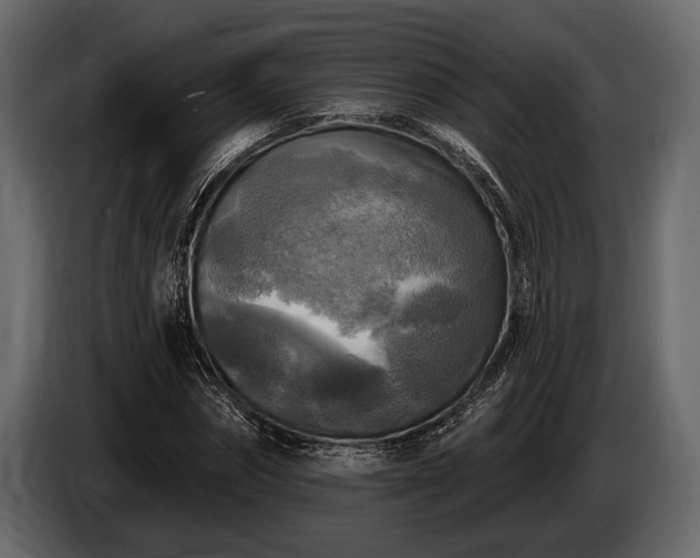 X0000085770874200703231221