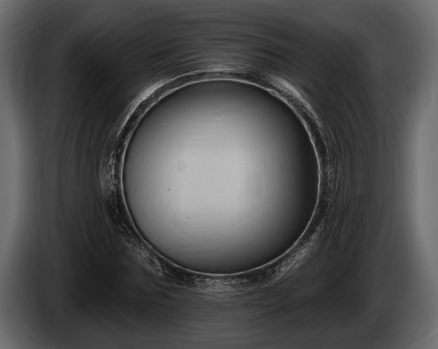 X0000085770875200703231221