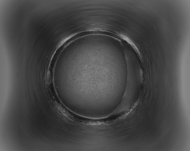 X0000085770876200703231221