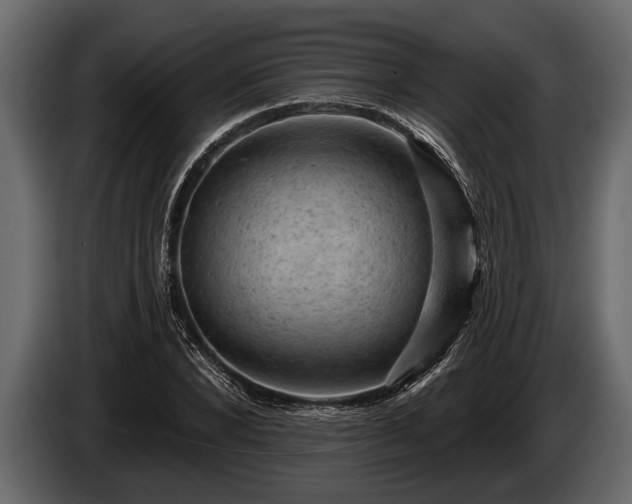 X0000085770880200703231221