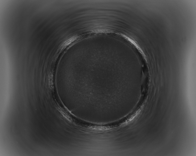 X0000085770881200703231221