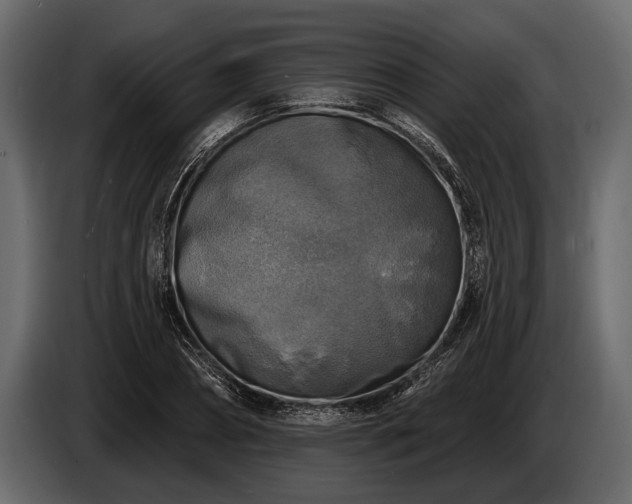 X0000085770882200703231221