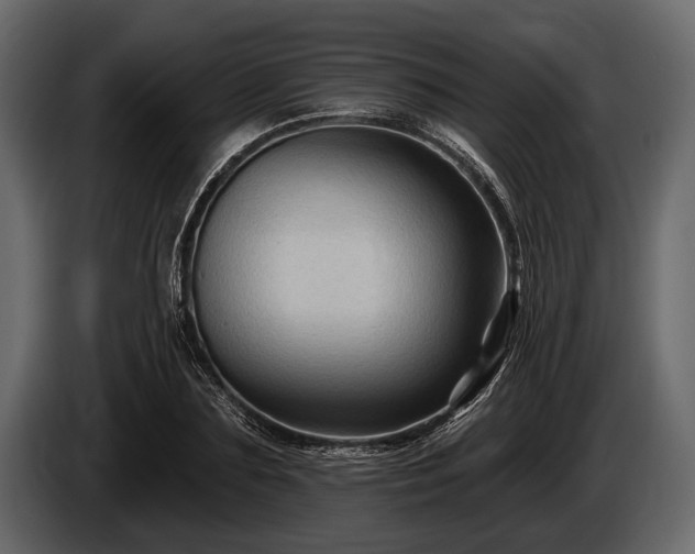 X0000085770883200703231221