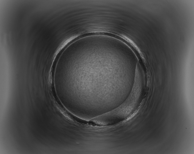 X0000085770885200703231221