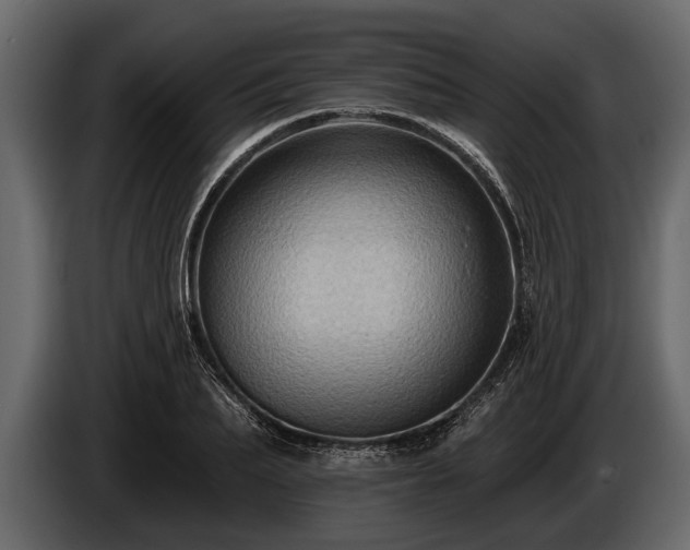 X0000085770887200703231221