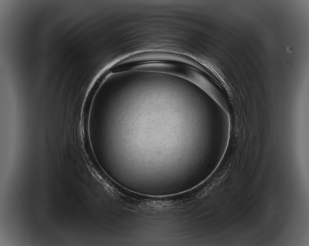 X0000085770888200703231221