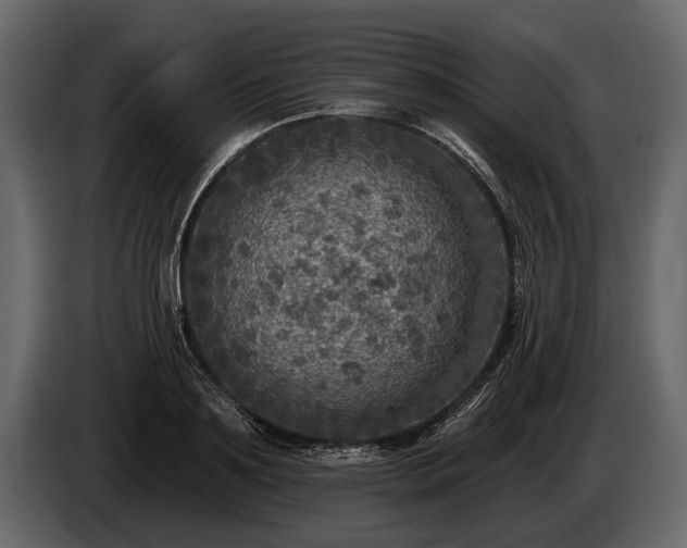 X0000085770891200703231221