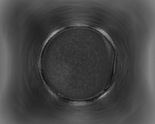 X0000085770893200703231221