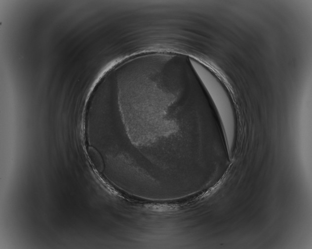 X0000085770896200703231221