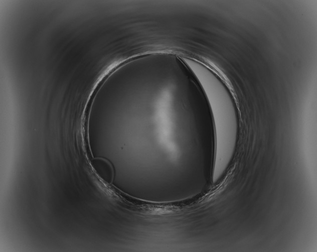 X0000085770899200703231221