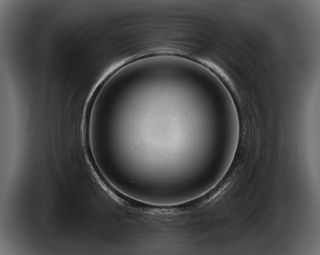 X0000085770902200703231221