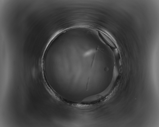 X0000085770907200703231221