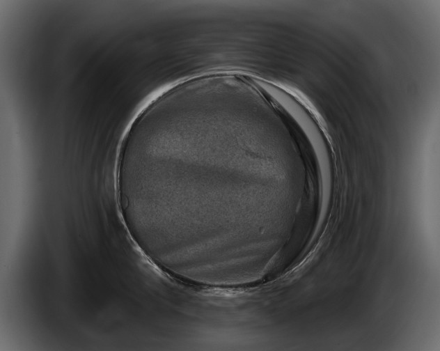 X0000085770910200703231220