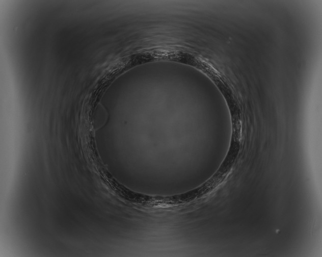 X0000085770913200703231220