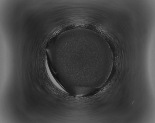 X0000085770916200703231220