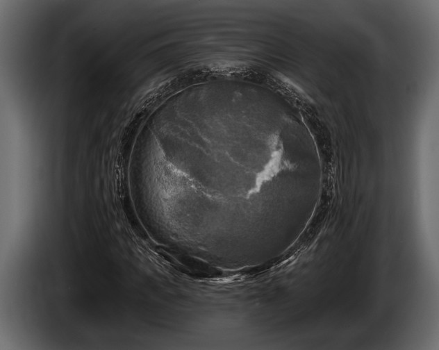 X0000085770917200703231220