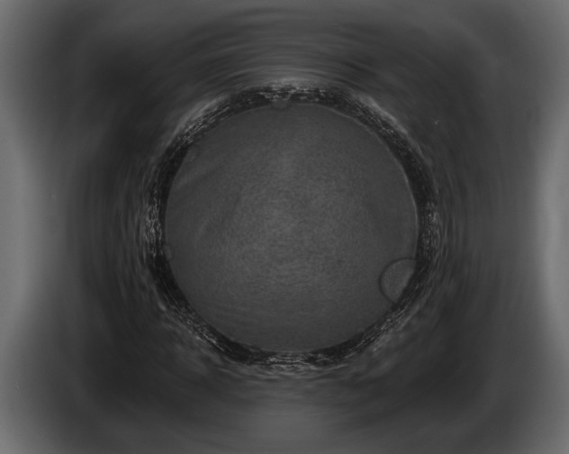 X0000085770918200703231220