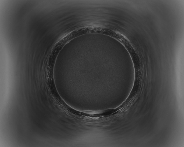 X0000085770919200703231220