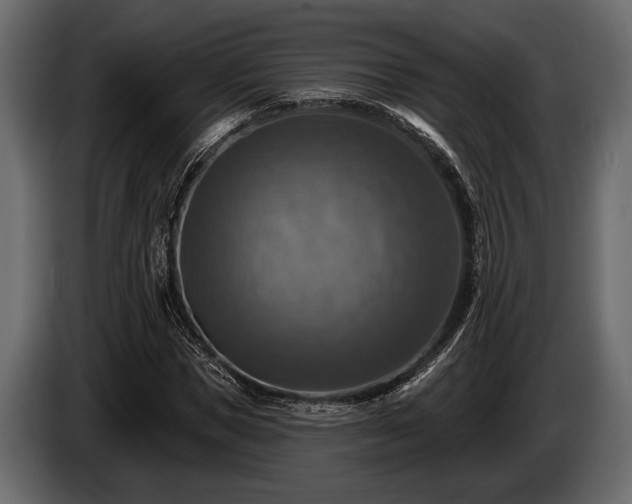 X0000085770921200703231220