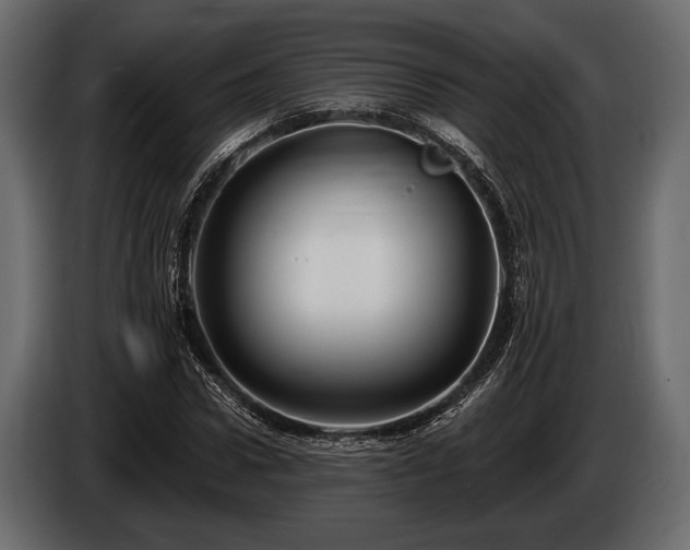 X0000085770922200703231220